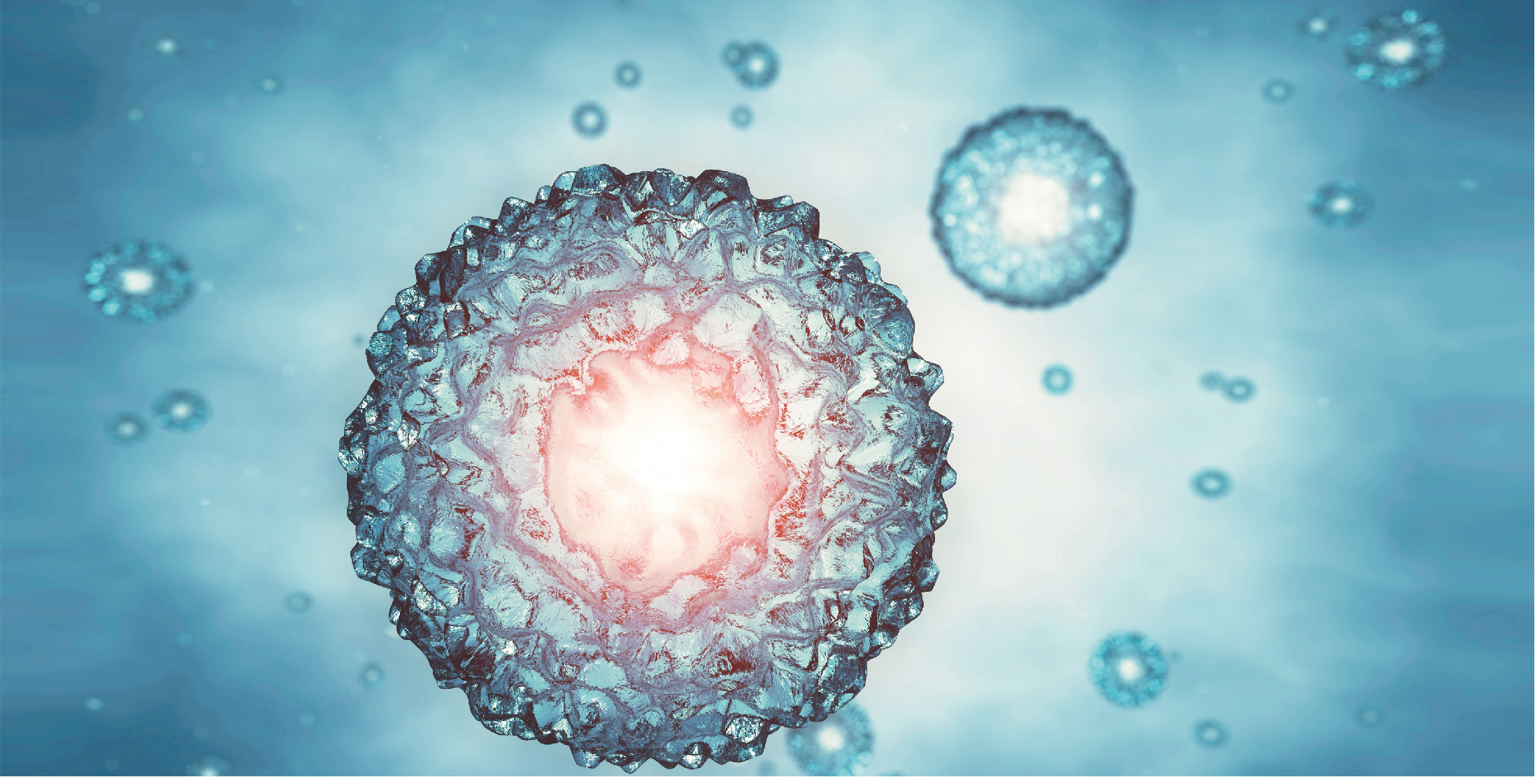 中國生物試劑核心原料開拓者